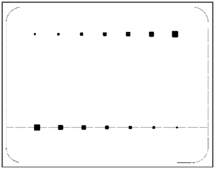 GregSmith-Figure 3.jpg